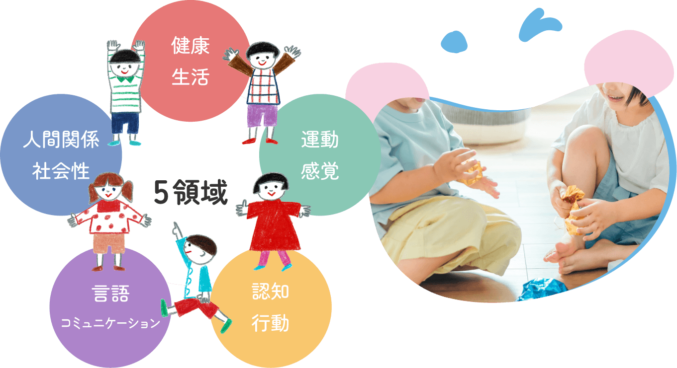5領域
